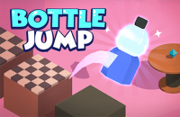 Bottle Flip Challenge