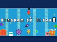 Ninja Kingdom Arcade Adventure