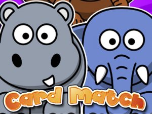 Card Match Memory Puzzle Game