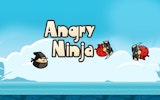 Angry Ninja: Pirate Showdown