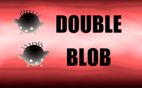Double Bird Endless Flight Arcade