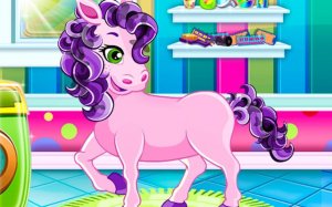 Pony Grooming and Style Salon