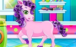 Pony Grooming and Style Salon