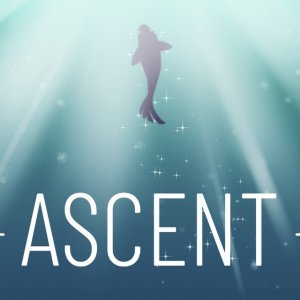 Ascent Evolution Game