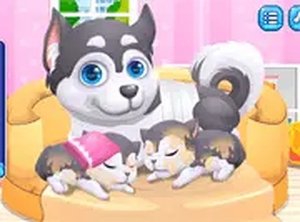 Husky Mother Care Simulator