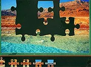 Wildlife Picture Puzzle