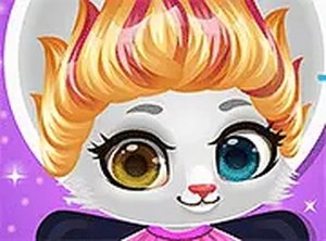 Kitty Spa and Style Studio