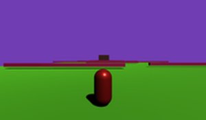 Capsule Venture Action Game